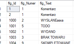 Widok tabeli flag w subiekcie gt.